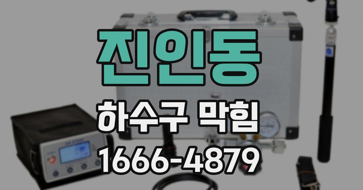 진인동 하수구 막힘