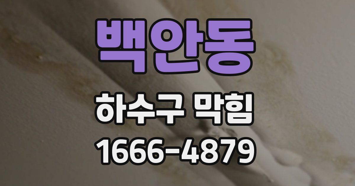 백안동 하수구 막힘