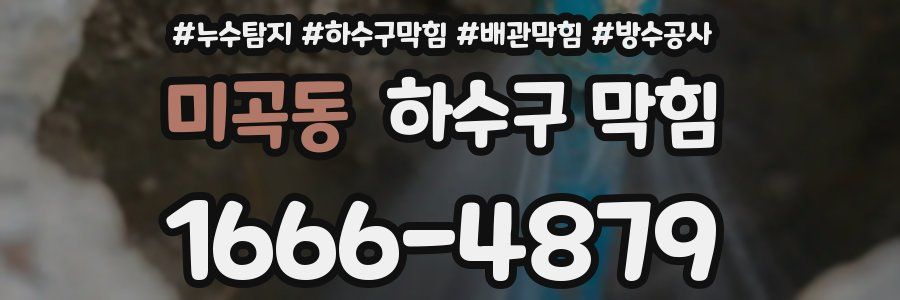 미곡동 하수구 막힘