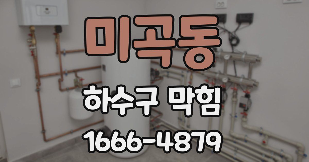 미곡동 하수구 막힘