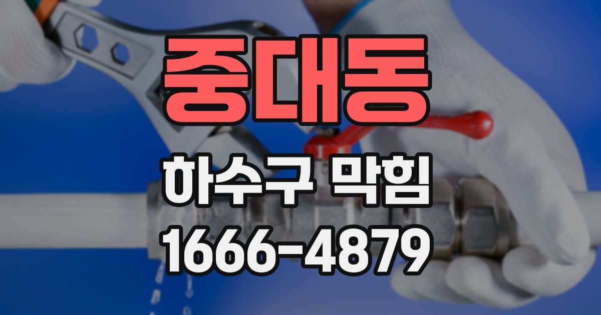 중대동 하수구 막힘