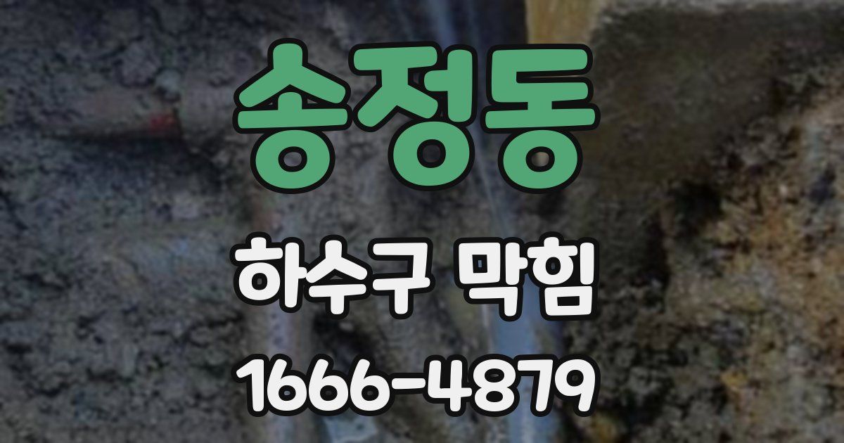 송정동 하수구 막힘