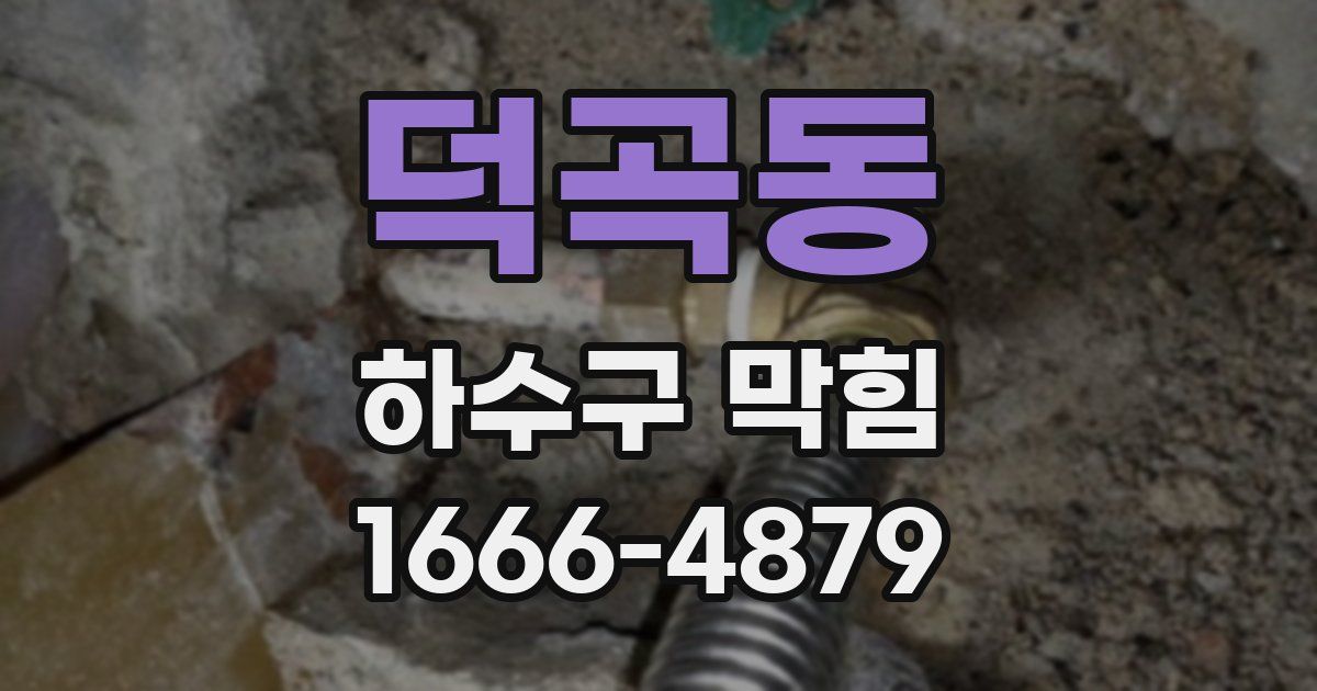 덕곡동 하수구 막힘