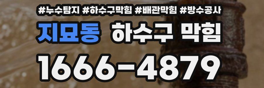 지묘동 하수구 막힘