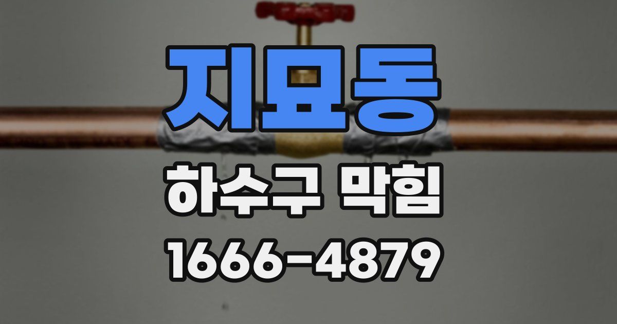 지묘동 하수구 막힘