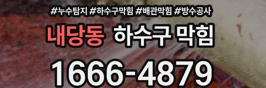 내당동 하수구 막힘