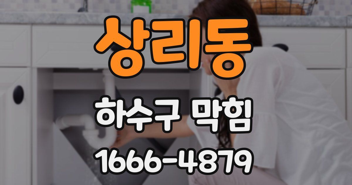 상리동 하수구 막힘