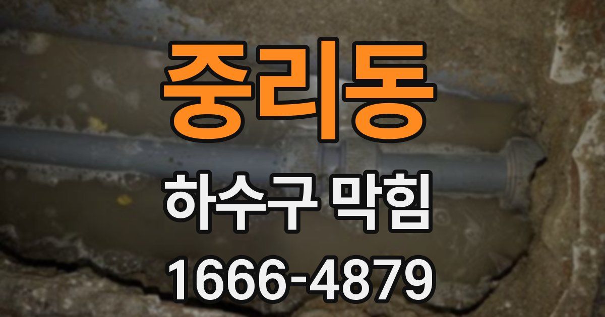 중리동 하수구 막힘