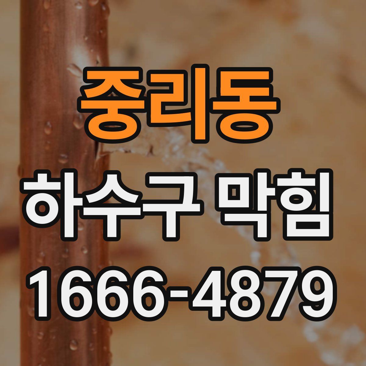 중리동 하수구 막힘