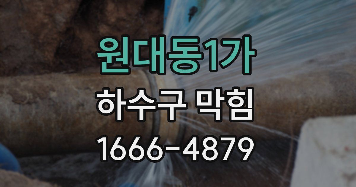 원대동1가 하수구 막힘