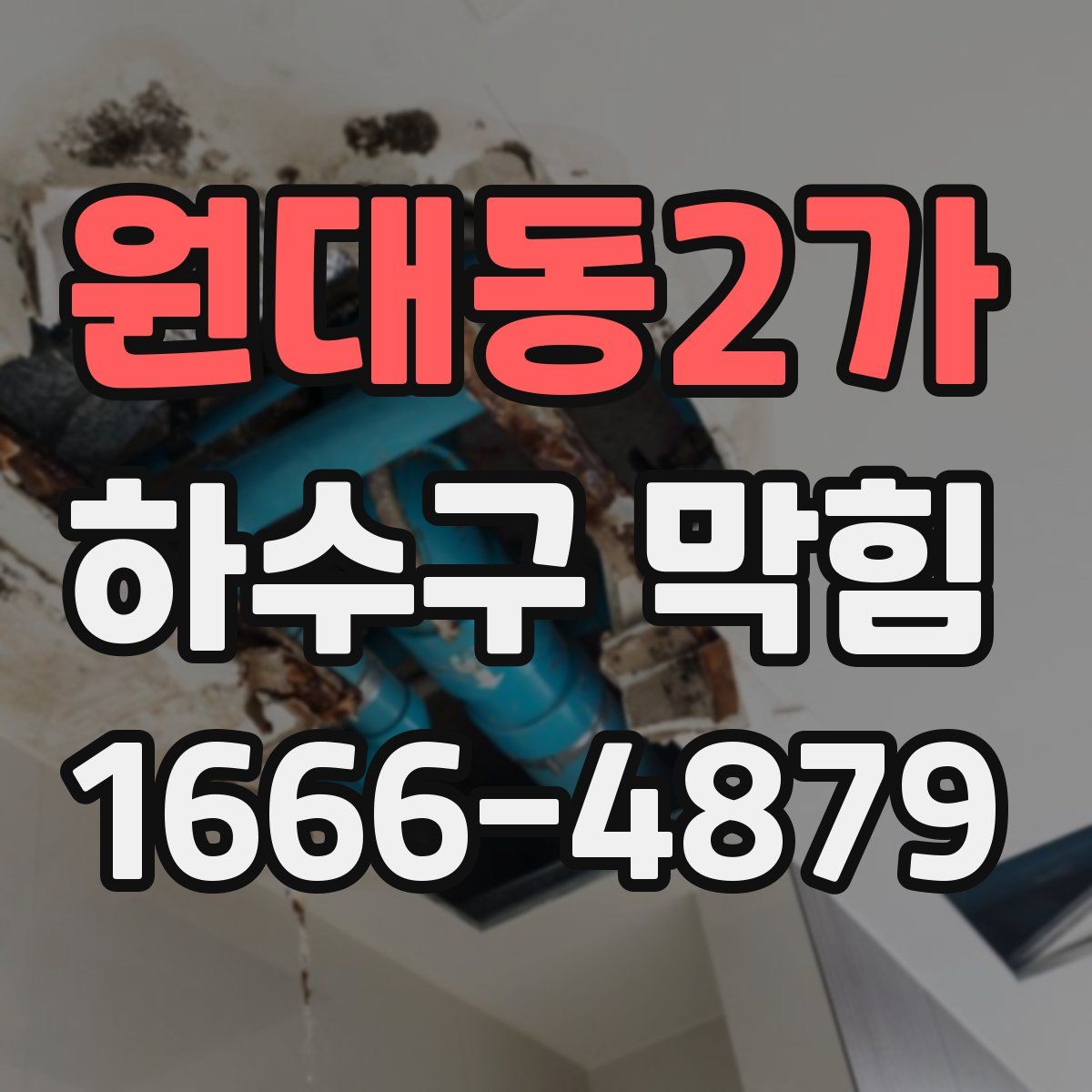 원대동2가 하수구 막힘