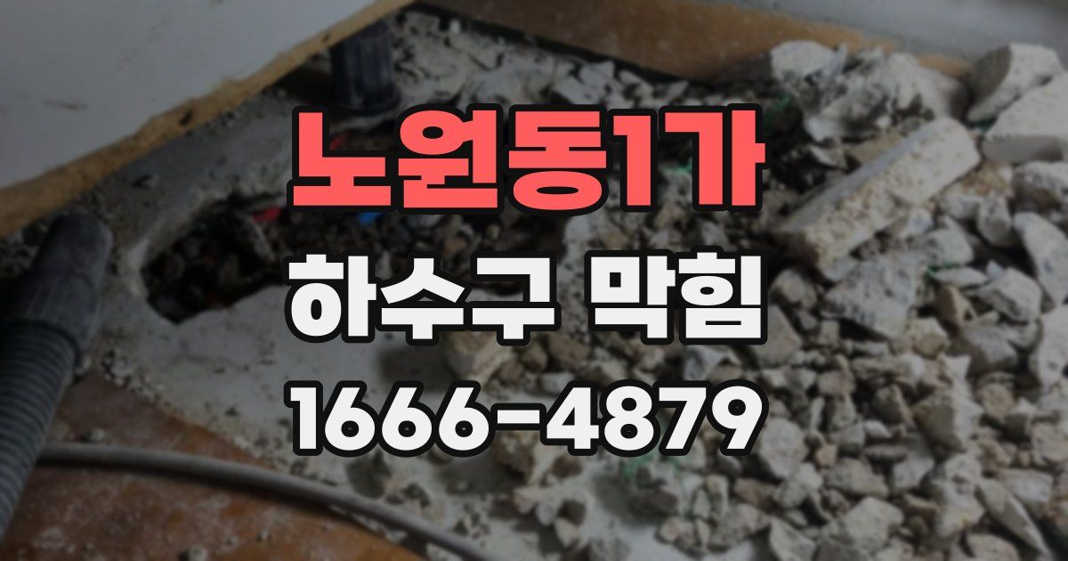 노원동1가 하수구 막힘
