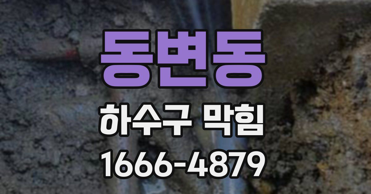 동변동 하수구 막힘