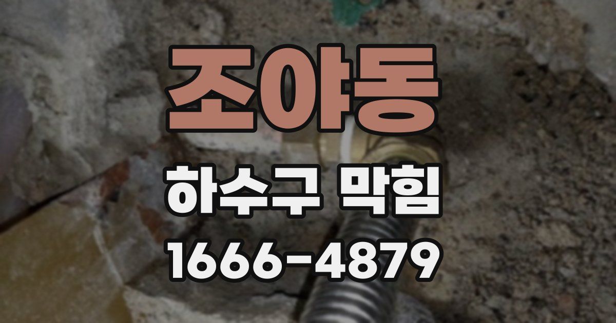 조야동 하수구 막힘