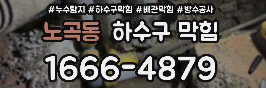 노곡동 하수구 막힘