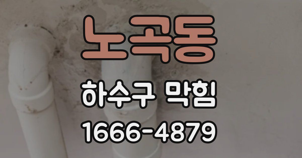 노곡동 하수구 막힘