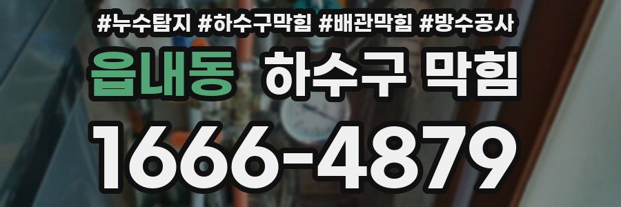 읍내동 하수구 막힘