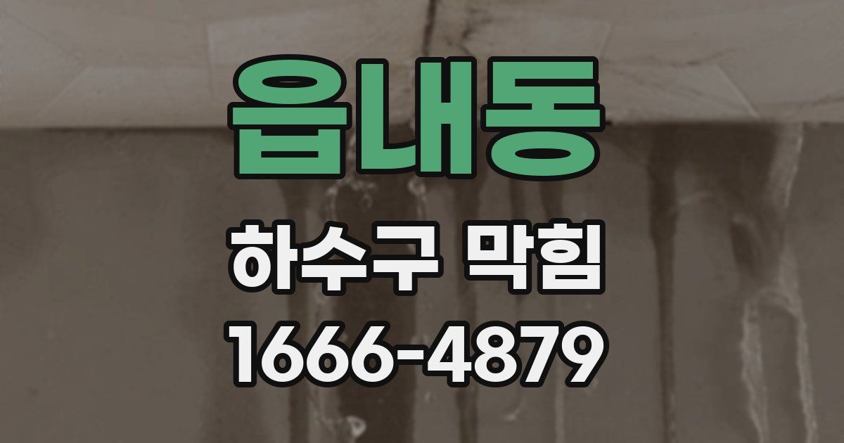 읍내동 하수구 막힘