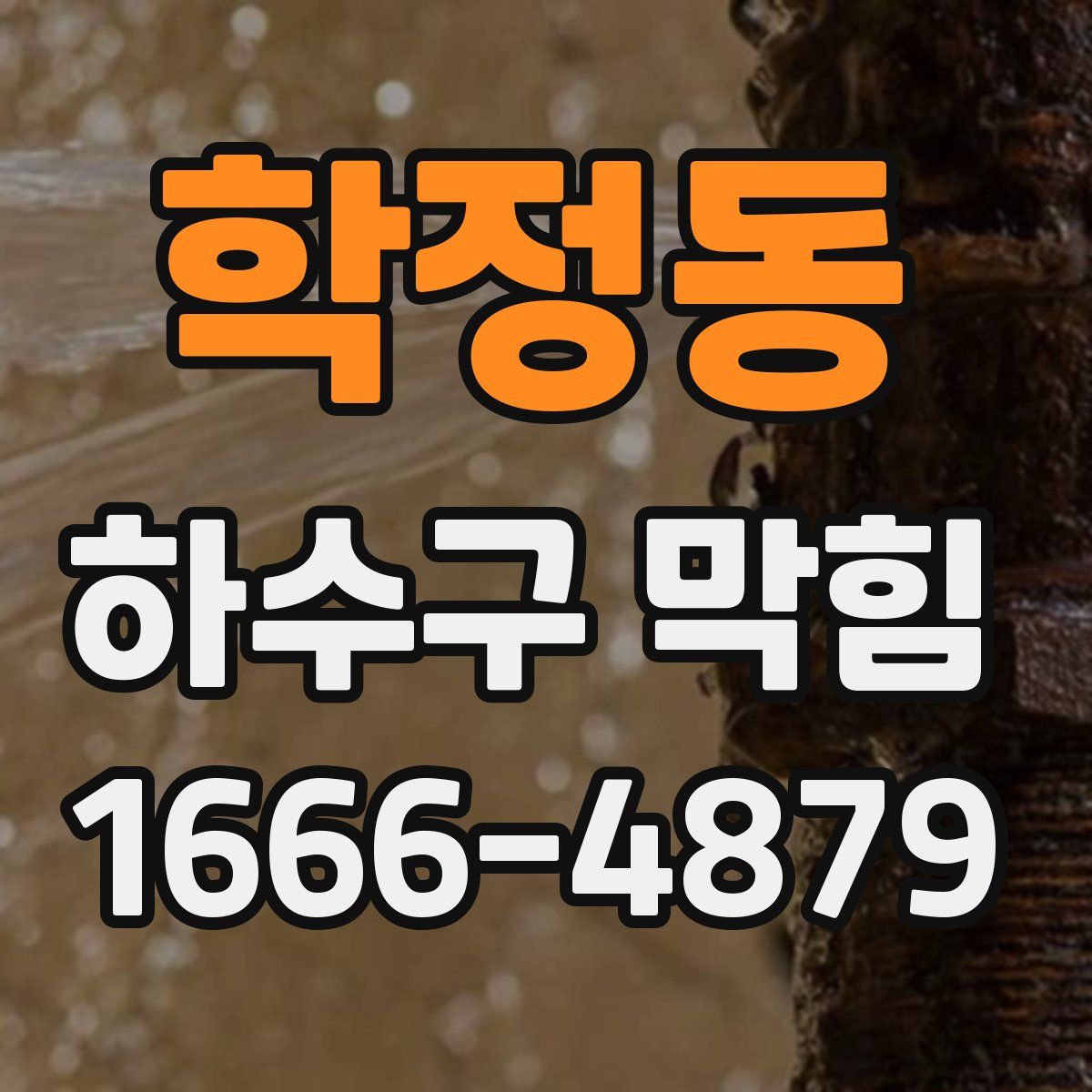 학정동 하수구 막힘