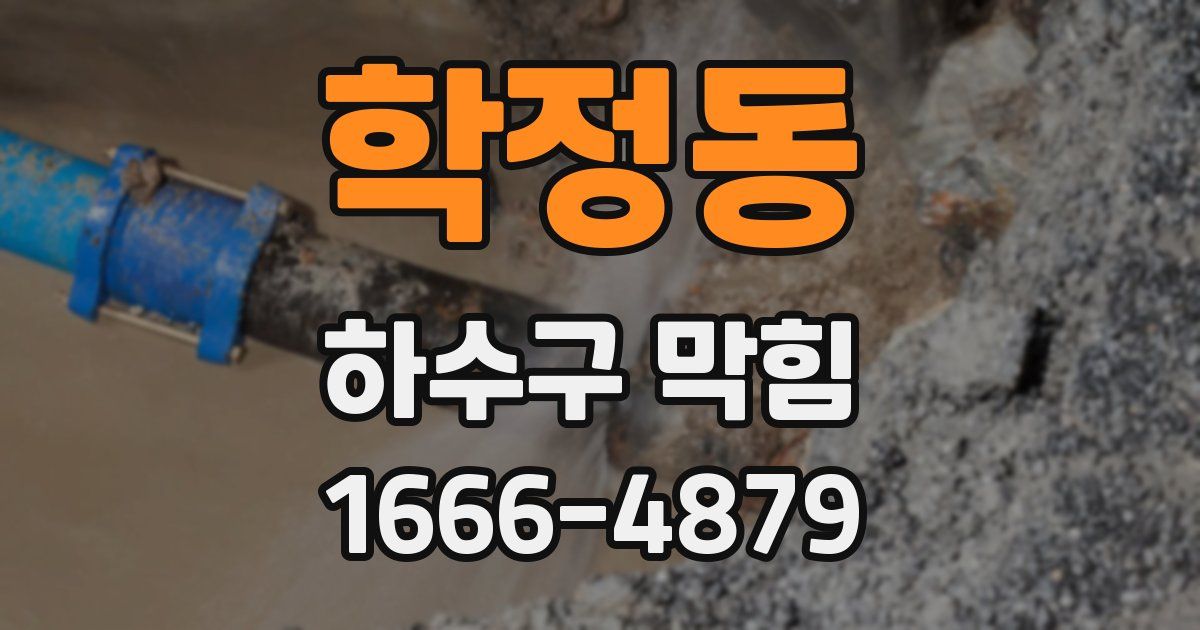 학정동 하수구 막힘