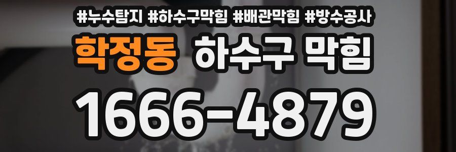 학정동 하수구 막힘