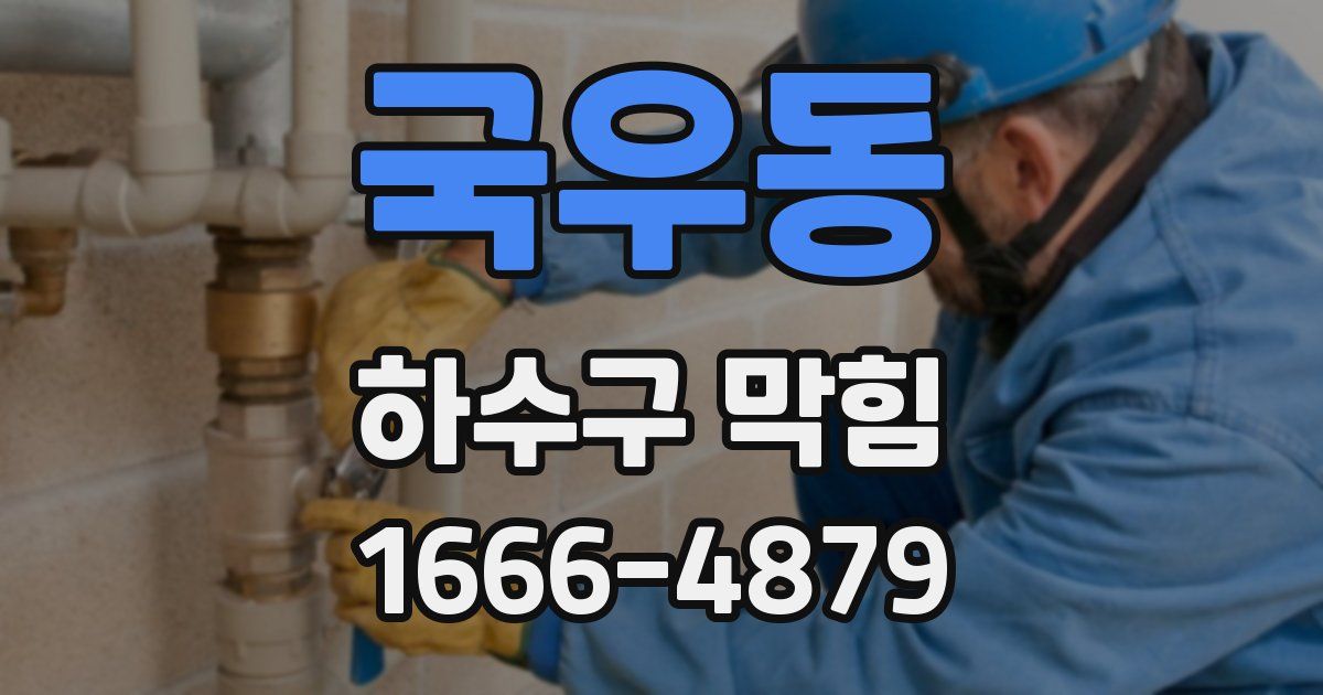 국우동 하수구 막힘