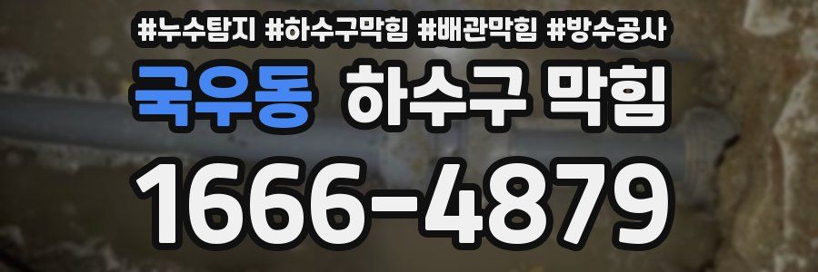 국우동 하수구 막힘