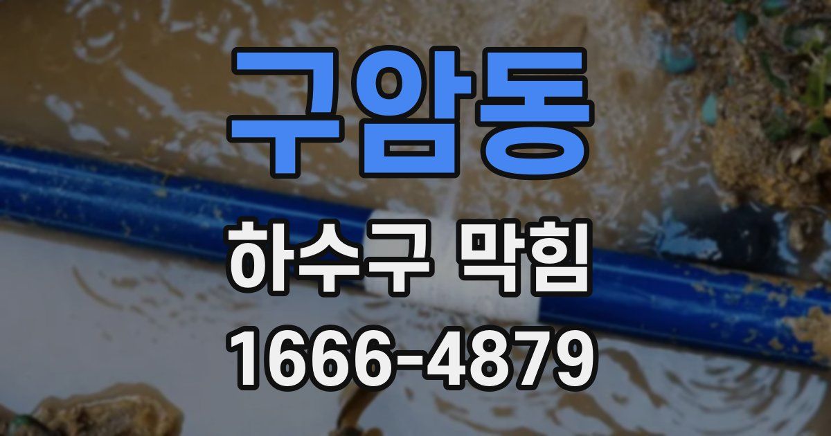 구암동 하수구 막힘