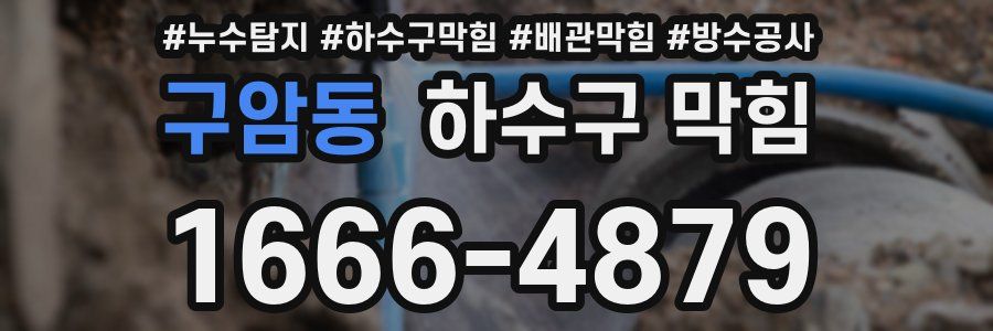 구암동 하수구 막힘