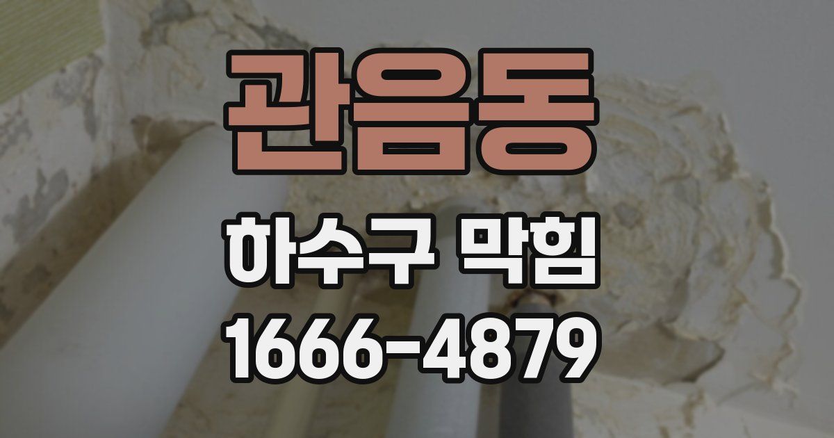 관음동 하수구 막힘