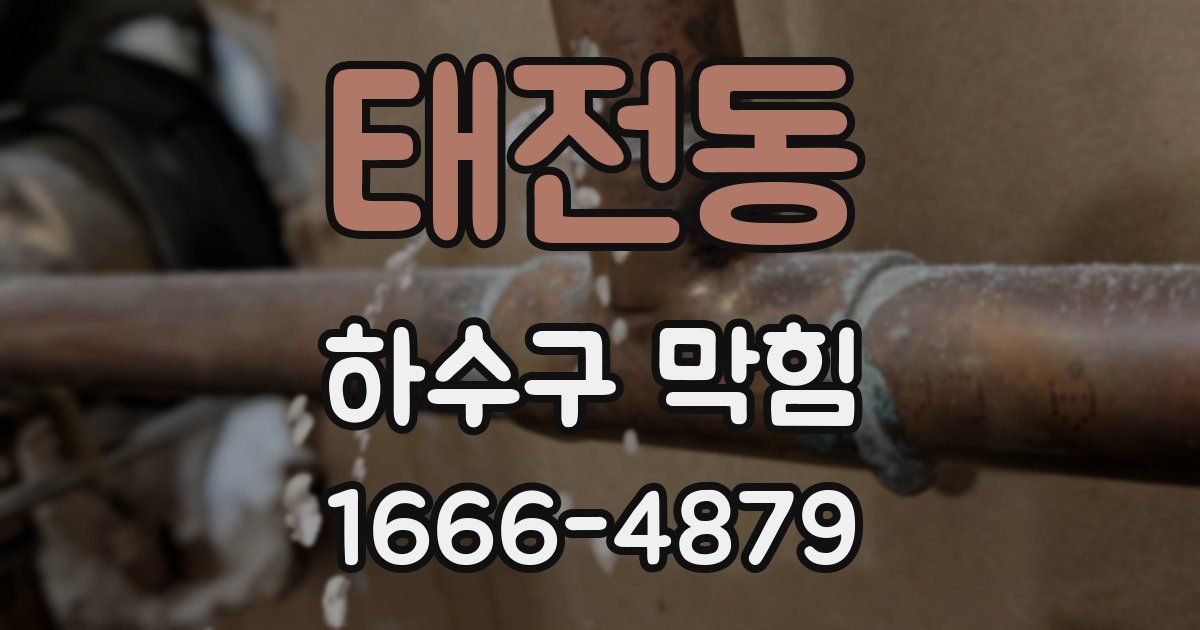 태전동 하수구 막힘