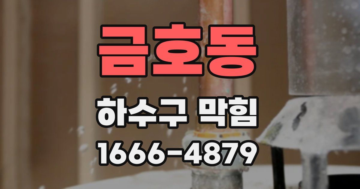 금호동 하수구 막힘