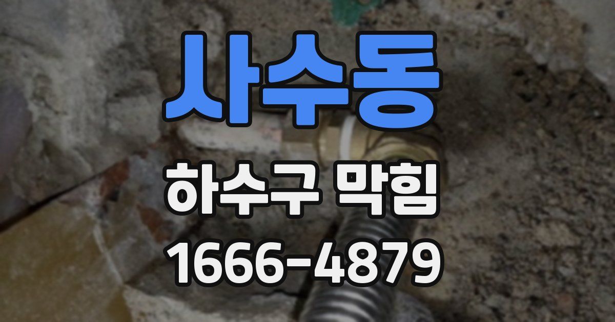 사수동 하수구 막힘