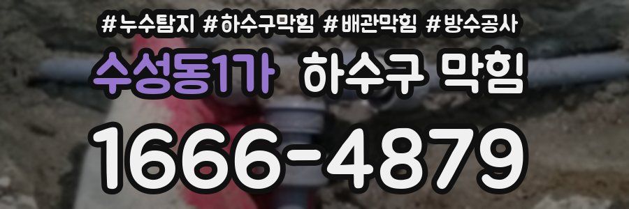 수성동1가 하수구 막힘