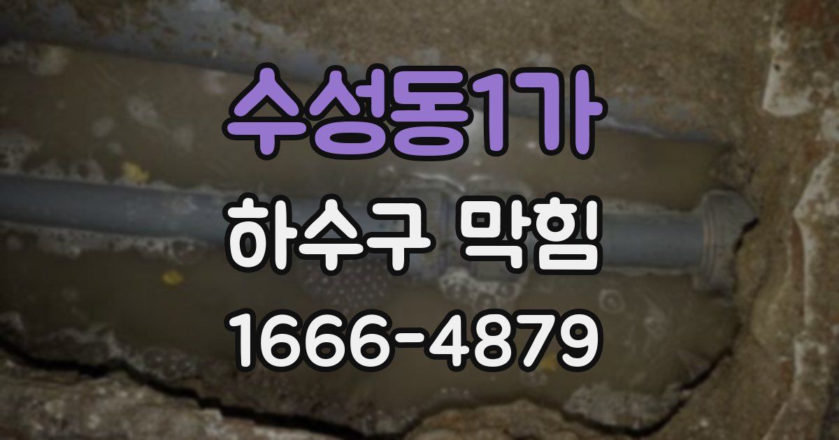 수성동1가 하수구 막힘