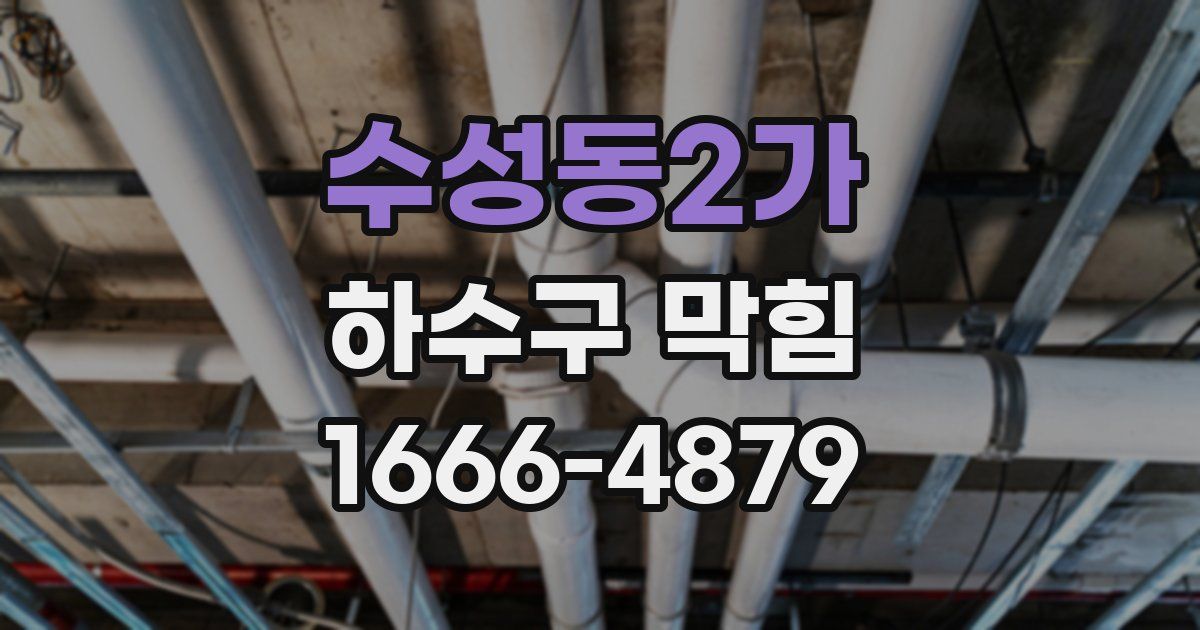 수성동2가 하수구 막힘
