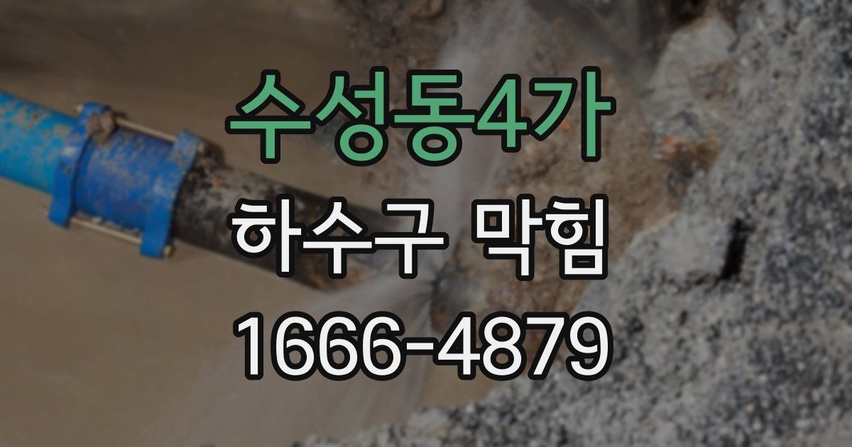 수성동4가 하수구 막힘