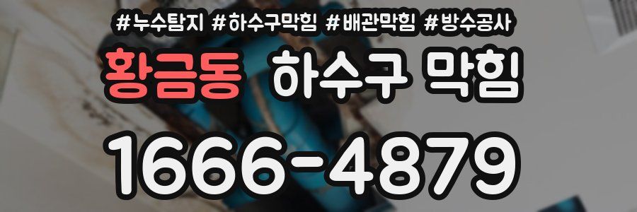황금동 하수구 막힘