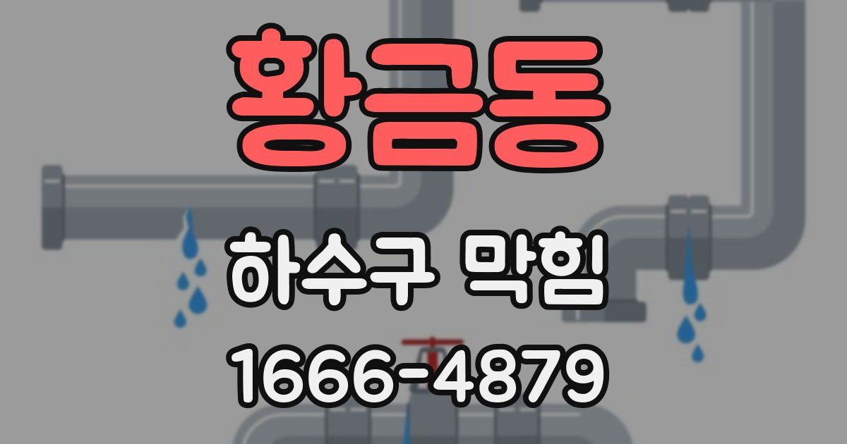 황금동 하수구 막힘