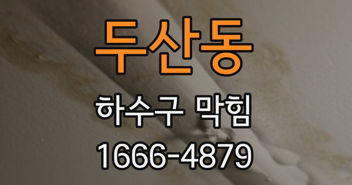 두산동 하수구 막힘