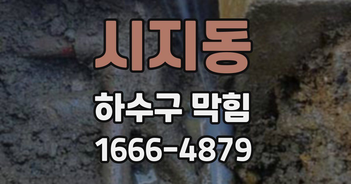 시지동 하수구 막힘