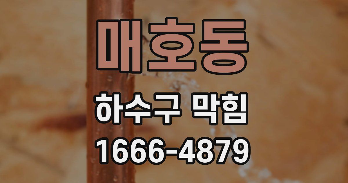 매호동 하수구 막힘