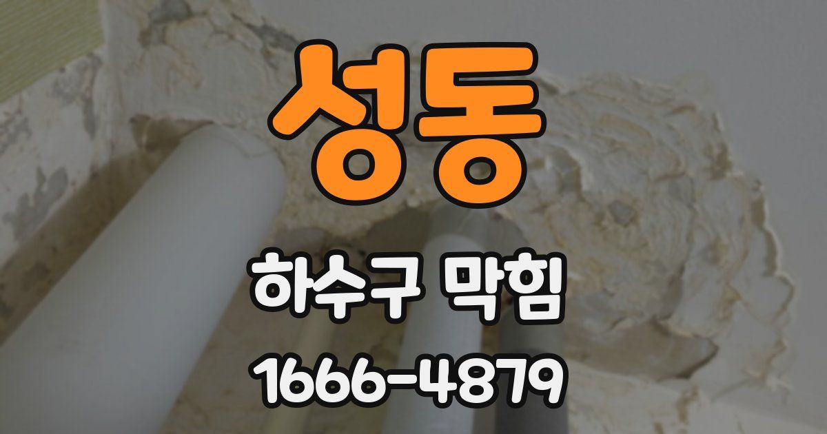 성동 하수구 막힘