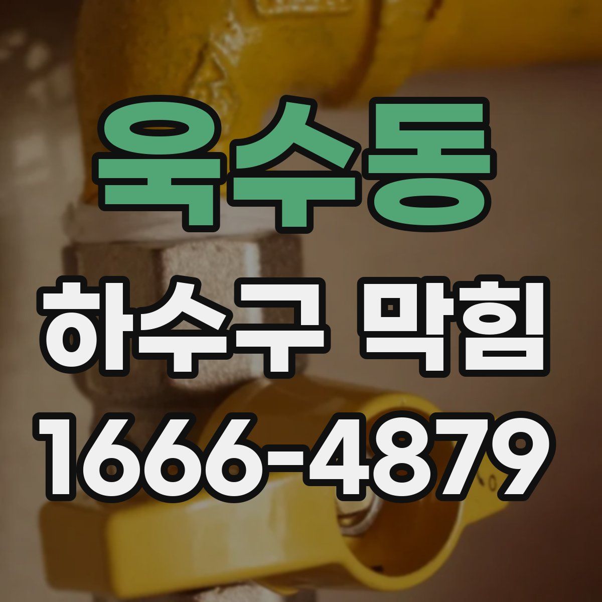 욱수동 하수구 막힘