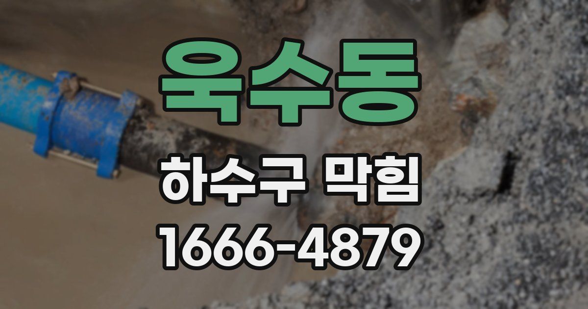 욱수동 하수구 막힘