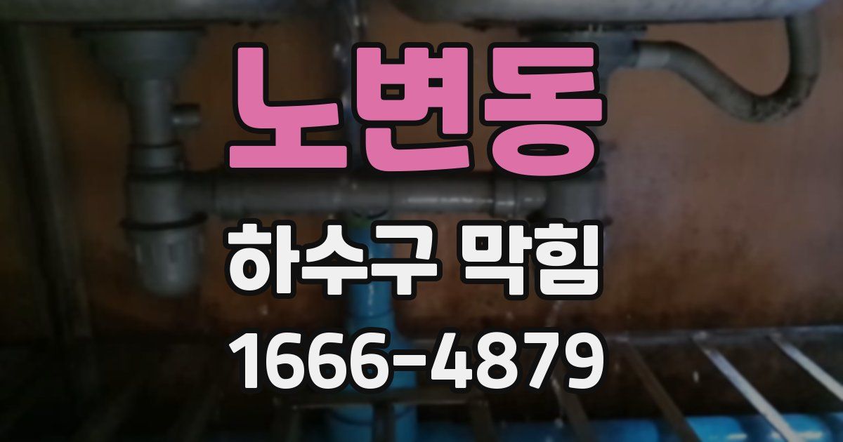 노변동 하수구 막힘