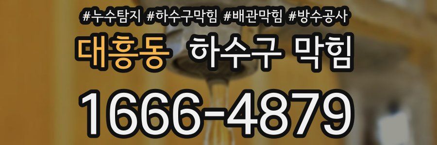 대흥동 하수구 막힘