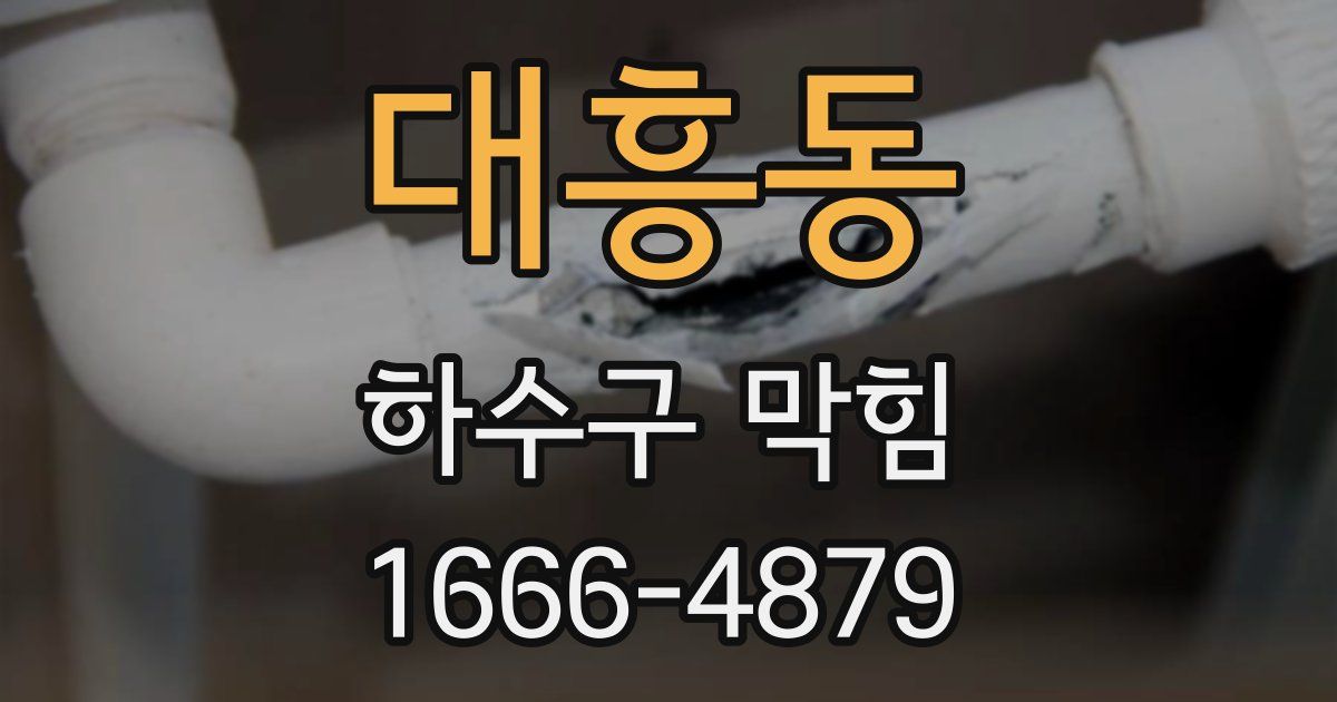 대흥동 하수구 막힘