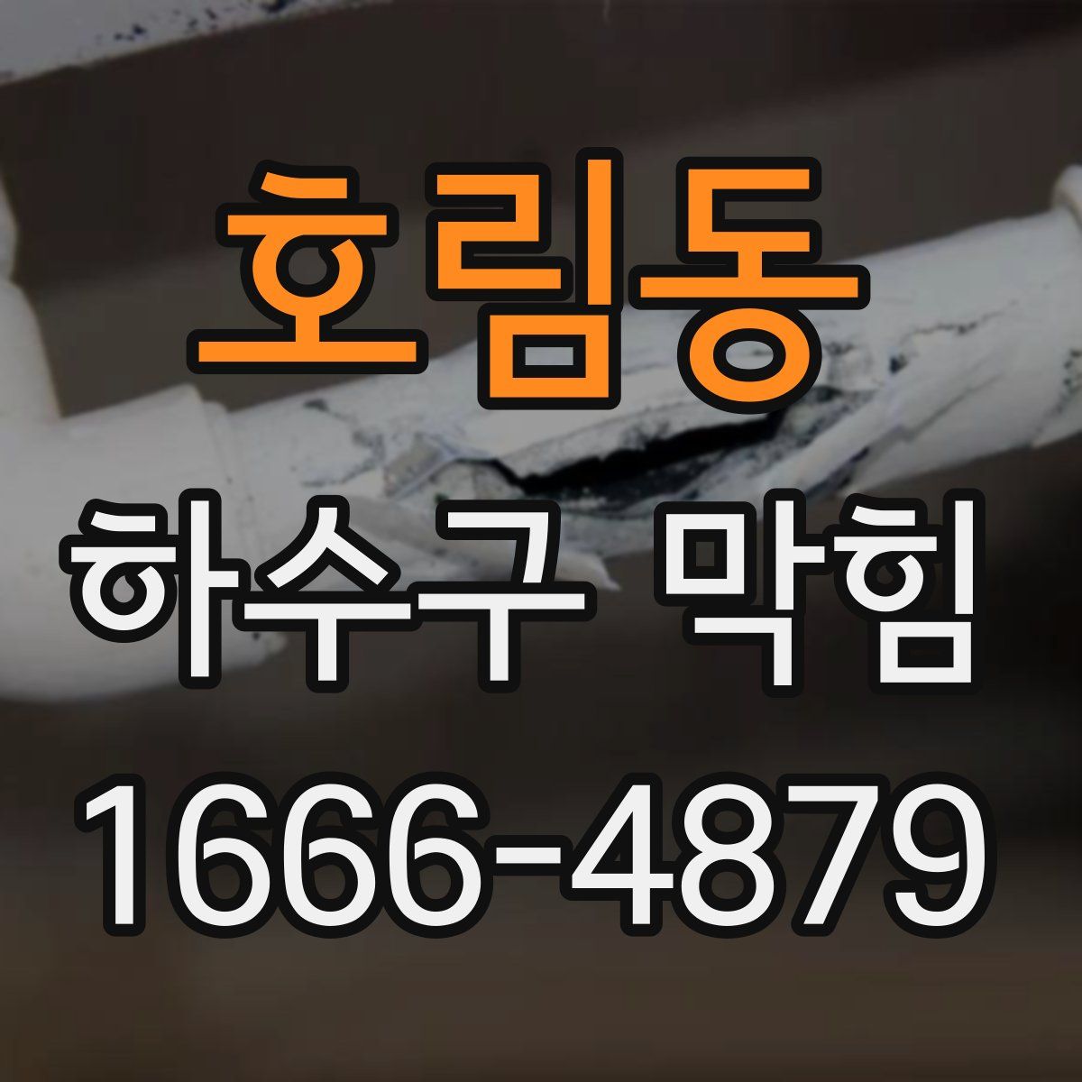 호림동 하수구 막힘