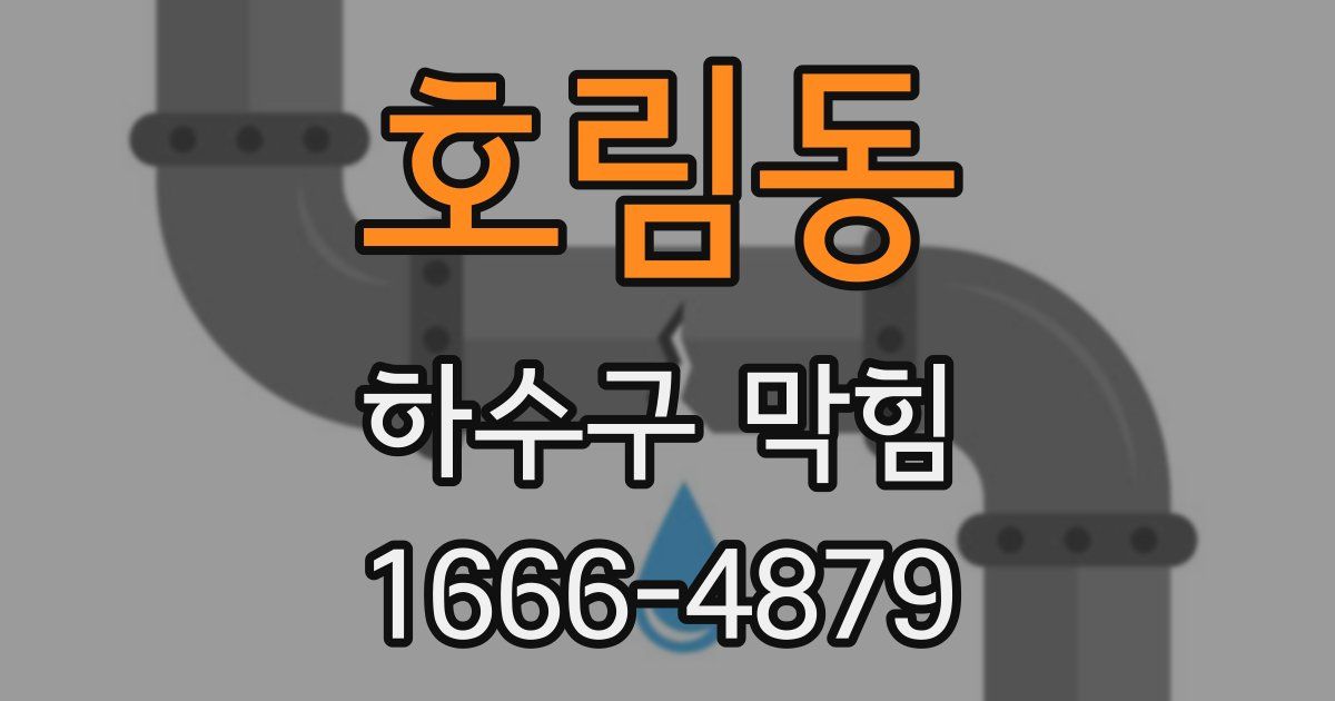 호림동 하수구 막힘